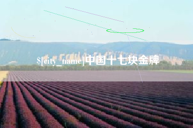 长兴中国十七块金牌