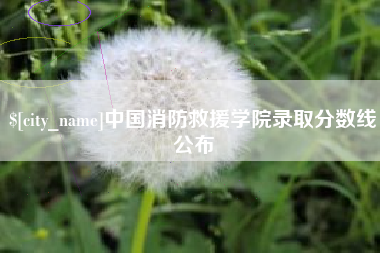 长兴中国消防救援学院录取分数线公布