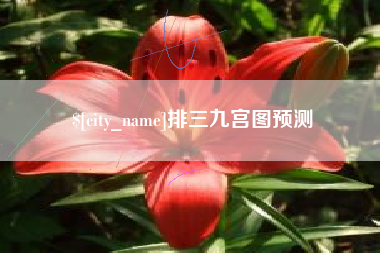 长兴排三九宫图预测