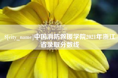 长兴中国消防救援学院2021年浙江省录取分数线