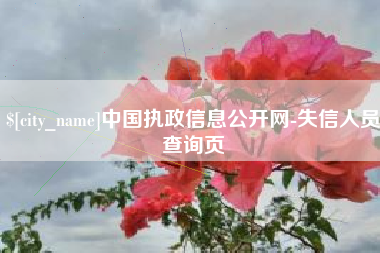 长兴中国执政信息公开网-失信人员查询页