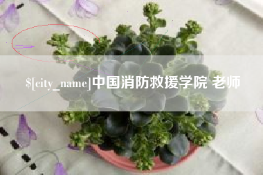 长兴中国消防救援学院 老师