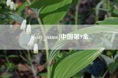 长兴中国第9金