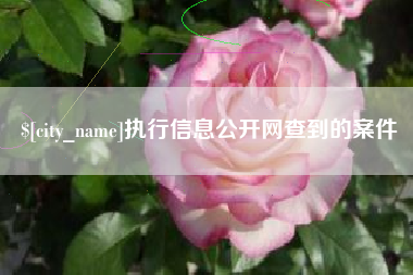 长兴执行信息公开网查到的案件