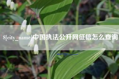 长兴中国执法公开网征信怎么查询