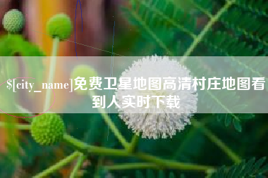 长兴免费卫星地图高清村庄地图看到人实时下载