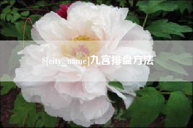 长兴九宫排盘方法