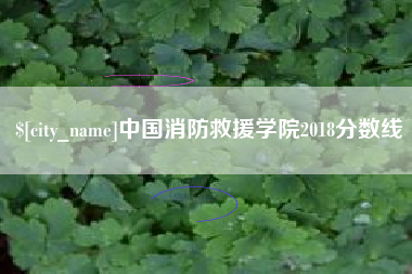 长兴中国消防救援学院2018分数线