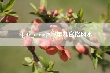 长兴2021年九宫格风水