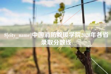 长兴中国消防救援学院2020年各省录取分数线