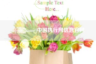 长兴中国执行网信息官网