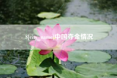 长兴中国夺金情况