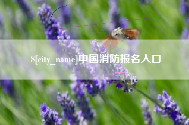 长兴中国消防报名入口