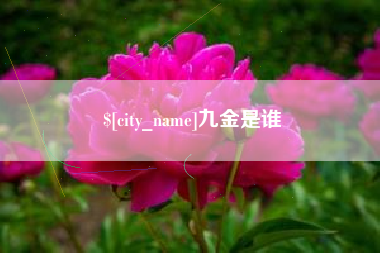 长兴九金是谁