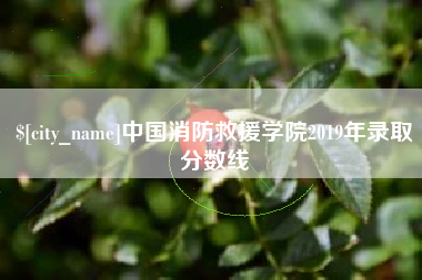 长兴中国消防救援学院2019年录取分数线