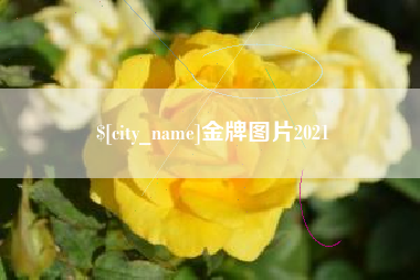 长兴金牌图片2021