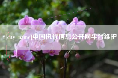 长兴中国执行信息公开网平台维护