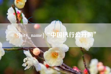 长兴“中国执行公开网”