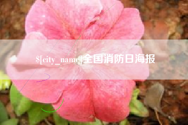 长兴全国消防日海报