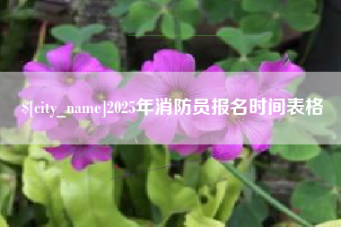 长兴2025年消防员报名时间表格