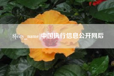 长兴中国执行信息公开网后