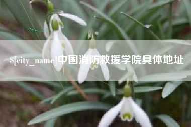 长兴中国消防救援学院具体地址