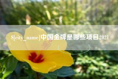 长兴中国金牌是哪些项目2021