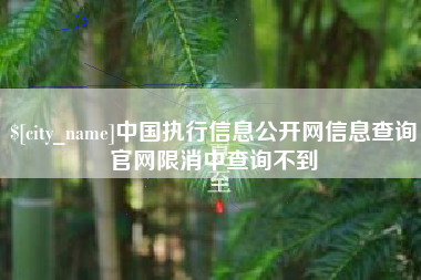 长兴中国执行信息公开网信息查询官网限消中查询不到