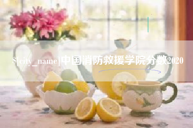 长兴中国消防救援学院分数2020