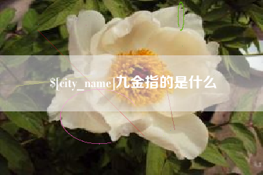 长兴九金指的是什么