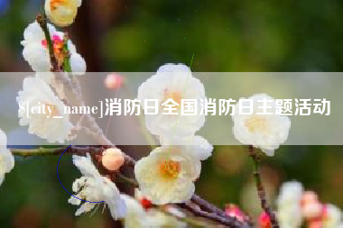 长兴消防日全国消防日主题活动