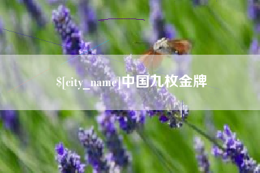 长兴中国九枚金牌