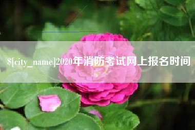 长兴2020年消防考试网上报名时间