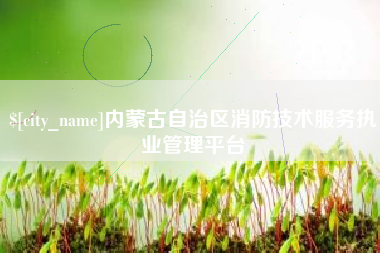 长兴内蒙古自治区消防技术服务执业管理平台