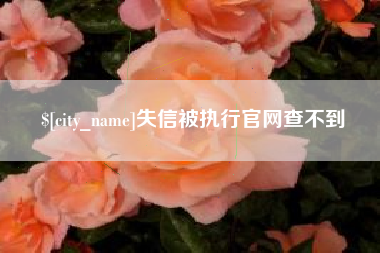 长兴失信被执行官网查不到