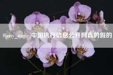 长兴中国执行信息公开网真的假的