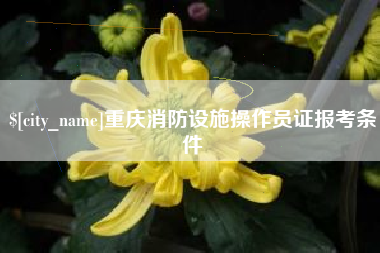 长兴重庆消防设施操作员证报考条件