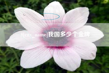 长兴我国多少个金牌
