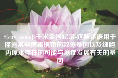 长兴5千米全国纪录-这些术语用于描述某些病毒携带的致癌基因以及细胞内原本存在的可能与癌症发展有关的基因