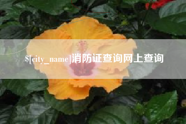 长兴消防证查询网上查询