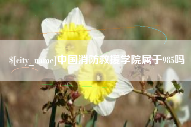 长兴中国消防救援学院属于985吗