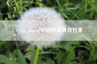 长兴中国的金牌有好多