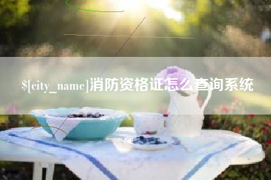 长兴消防资格证怎么查询系统