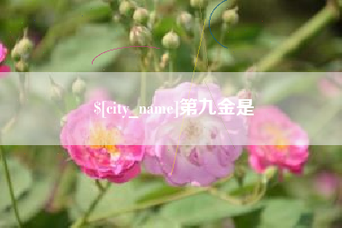 长兴第九金是