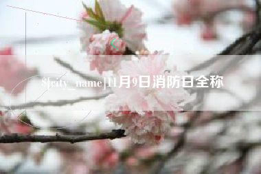 长兴11月9日消防日全称