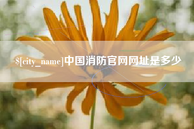 长兴中国消防官网网址是多少