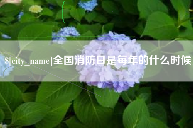长兴全国消防日是每年的什么时候