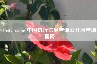 长兴中国执行信息查询公开网查询官网