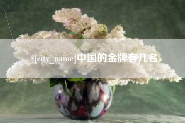 长兴中国的金牌有几名