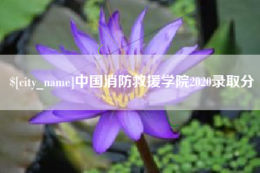 长兴中国消防救援学院2020录取分